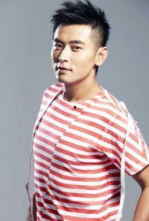 台湾演员大陆发展,跨越海峡的演艺传奇