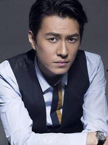 姜洋演员个人资料,影视界多面手，才华横溢的演员风采